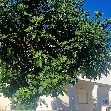 Apartmán Julija